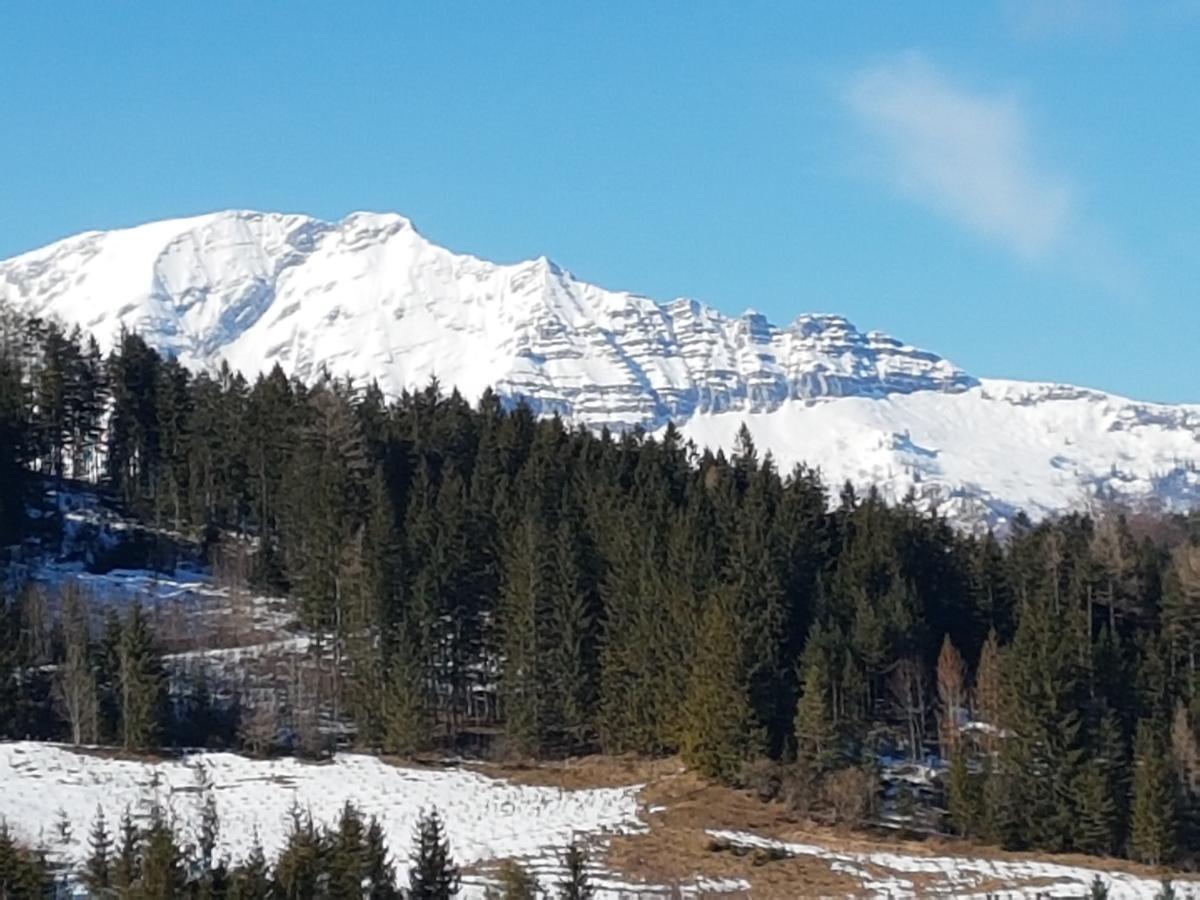 Berliner Ecke Hotell Mariazell Eksteriør bilde